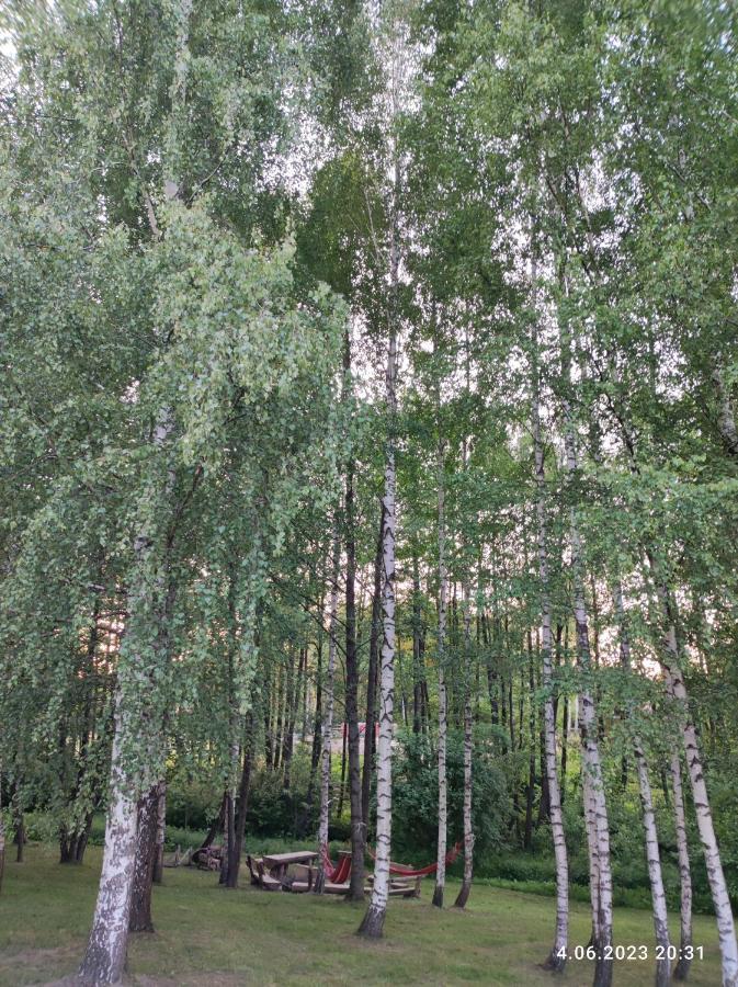 DubeninkiBrzozowy Chillout别墅 外观 照片